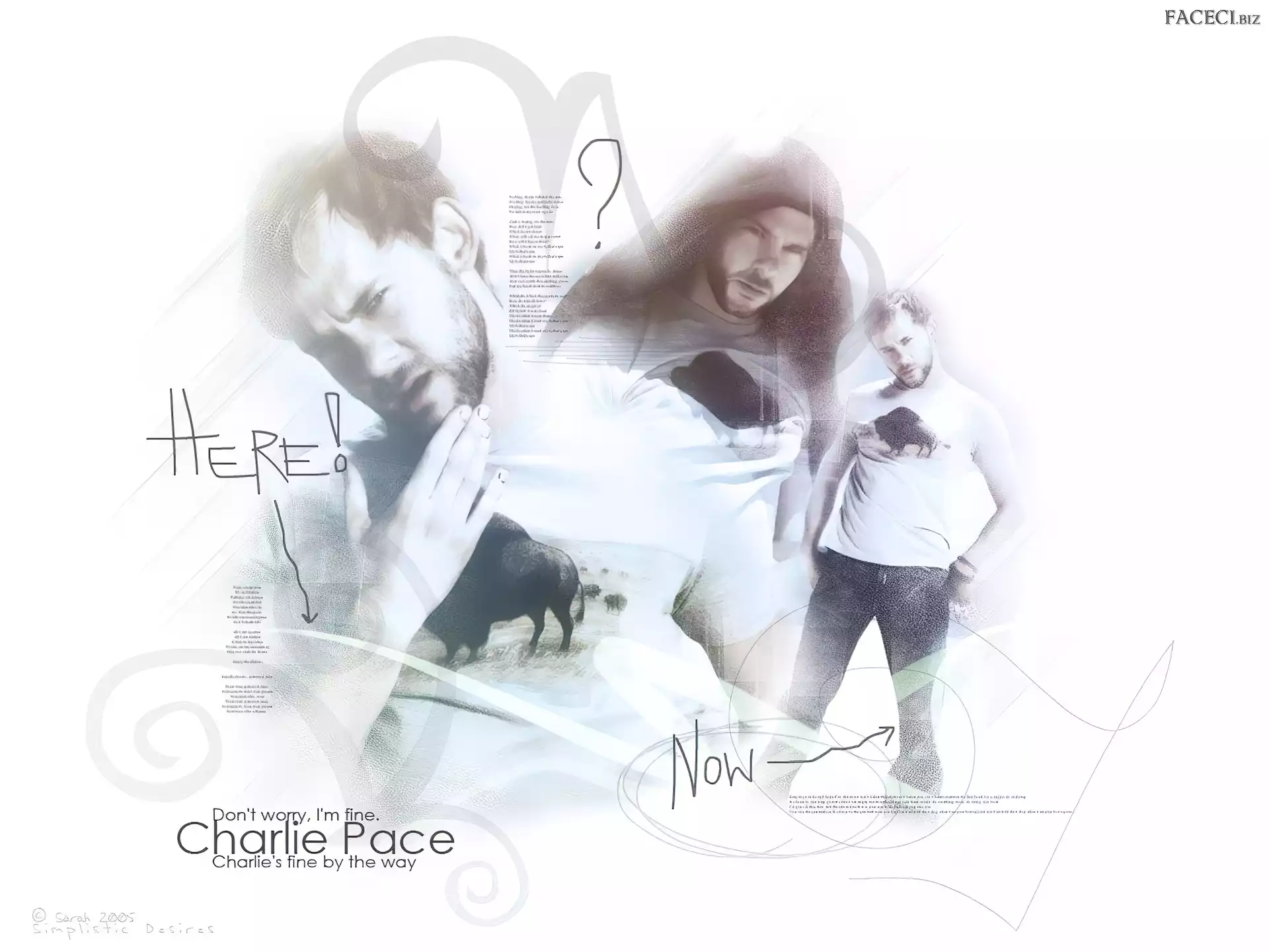 Zagubieni, Serial, Dominic Monaghan, tło, Lost, białe