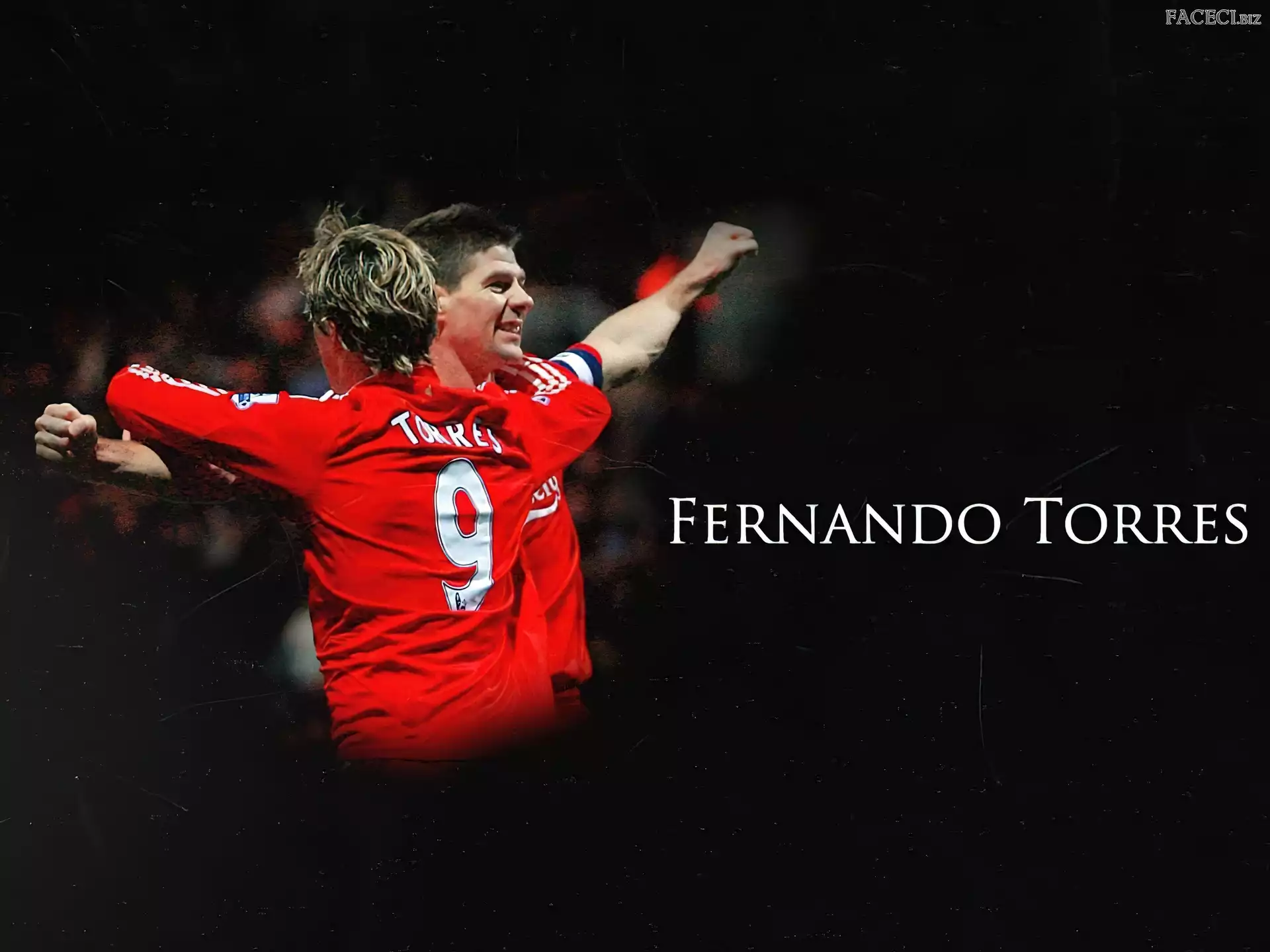 Fernando Torres, Liverpool